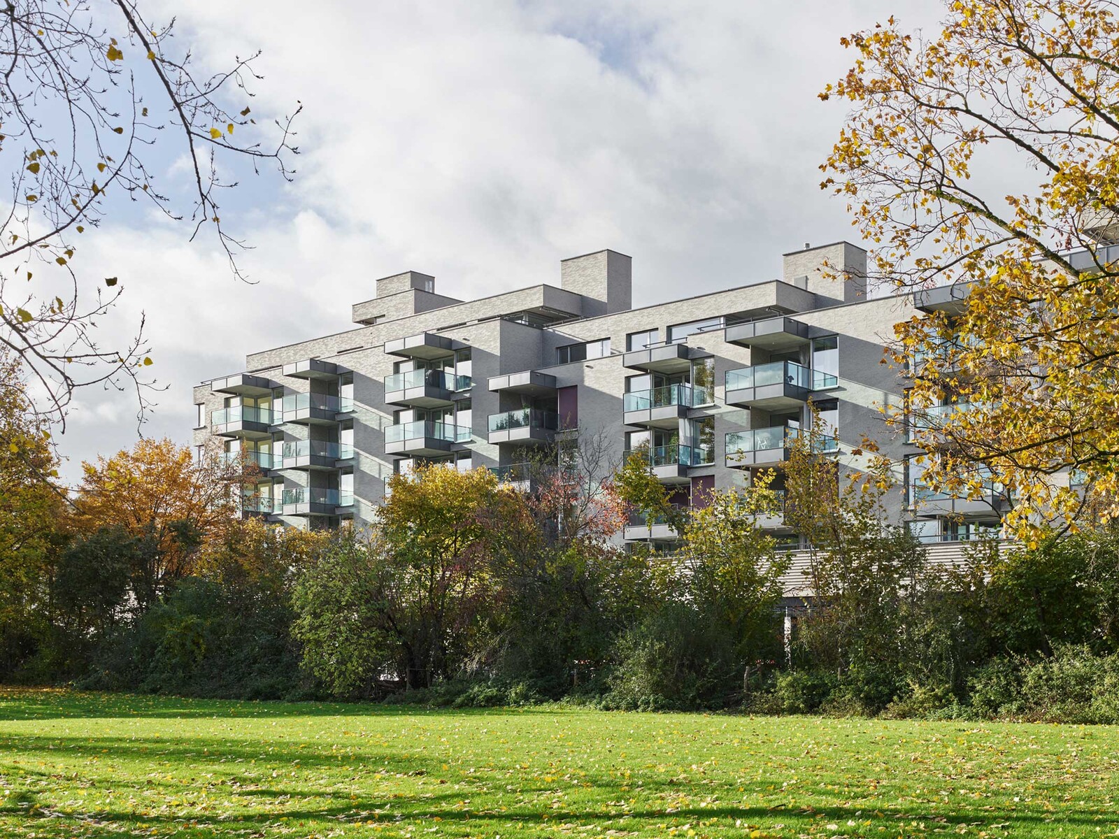 Jaeger Coneco AG Baumanagement