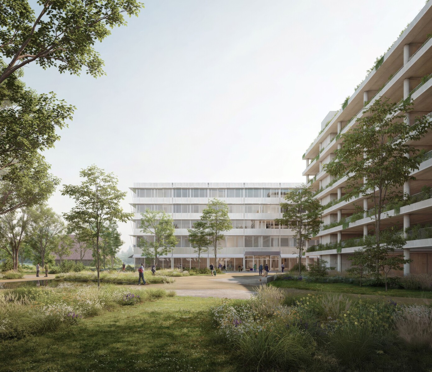 Jaeger Coneco AG Baumanagement