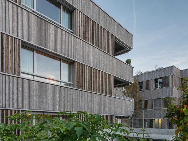 Neubau Siedlung VIVA