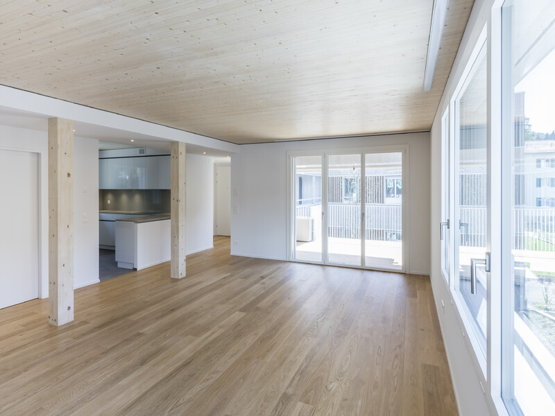 Neubau Siedlung VIVA