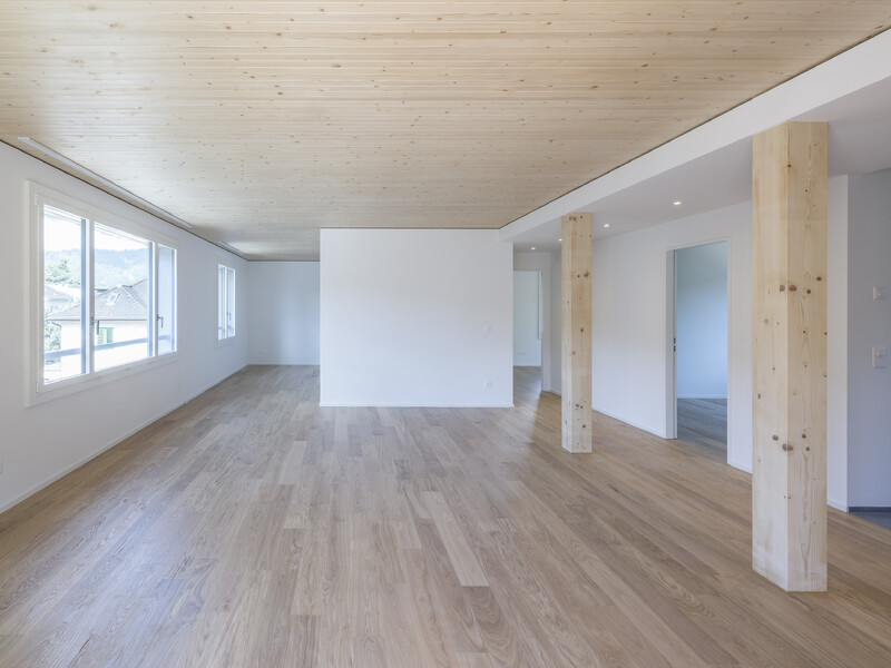 Neubau Siedlung VIVA