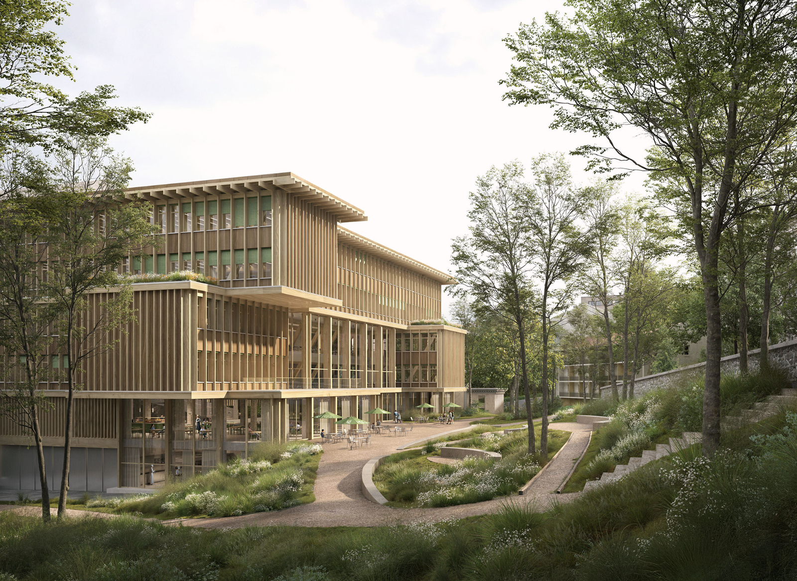 Jaeger Coneco AG Baumanagement