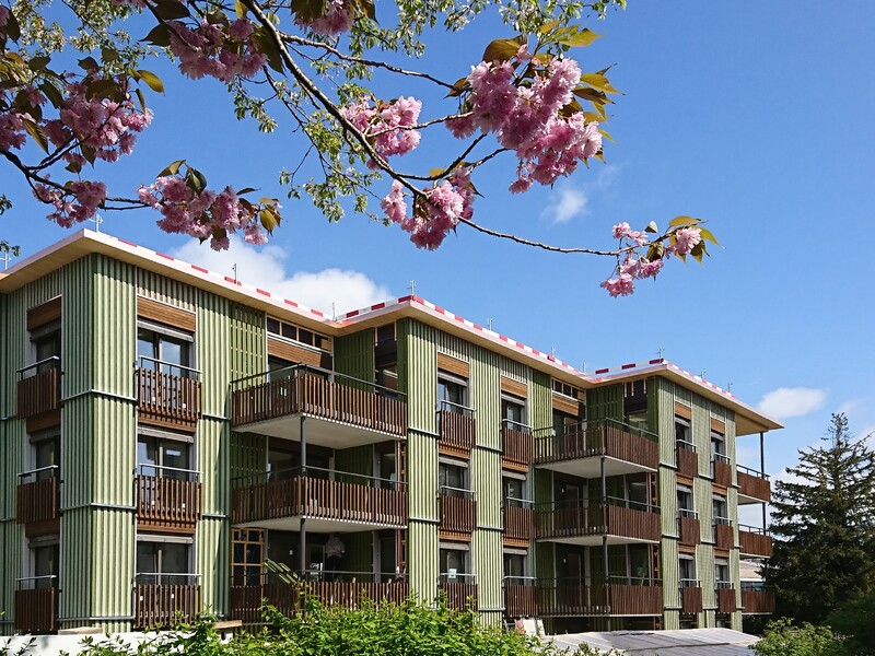 Neubau Wohnprojekt "zum Grünen Hof"