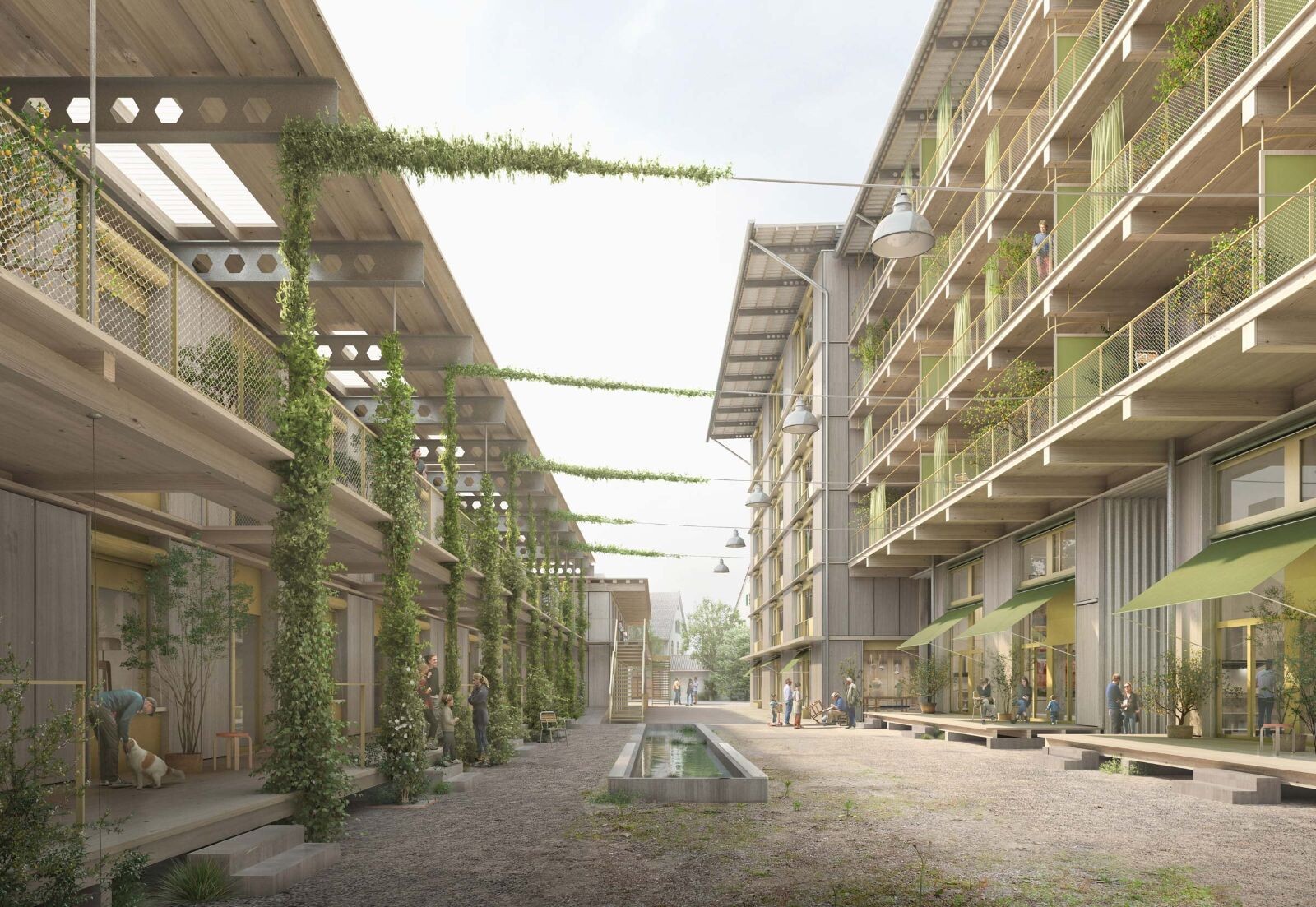 Jaeger Coneco AG Baumanagement