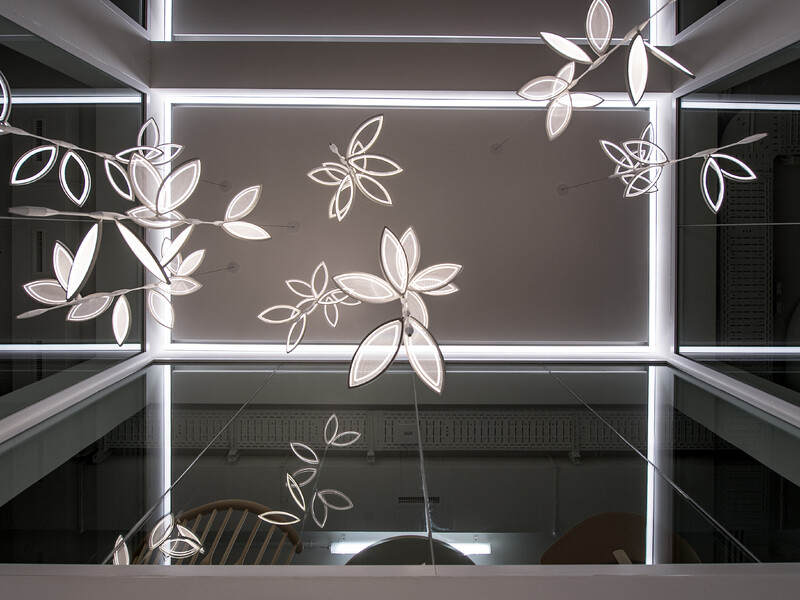 Umbau Bank Raiffeisen