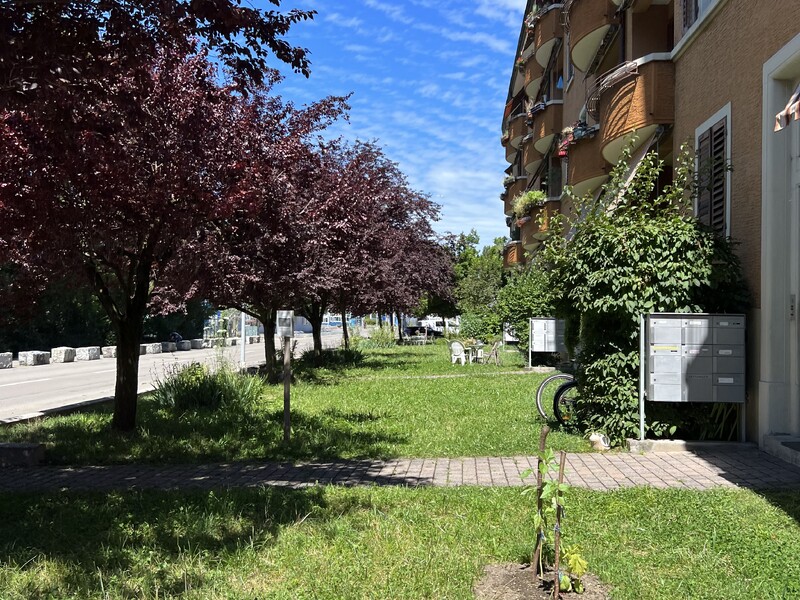 Umbau Siedlung Hardturmstrasse